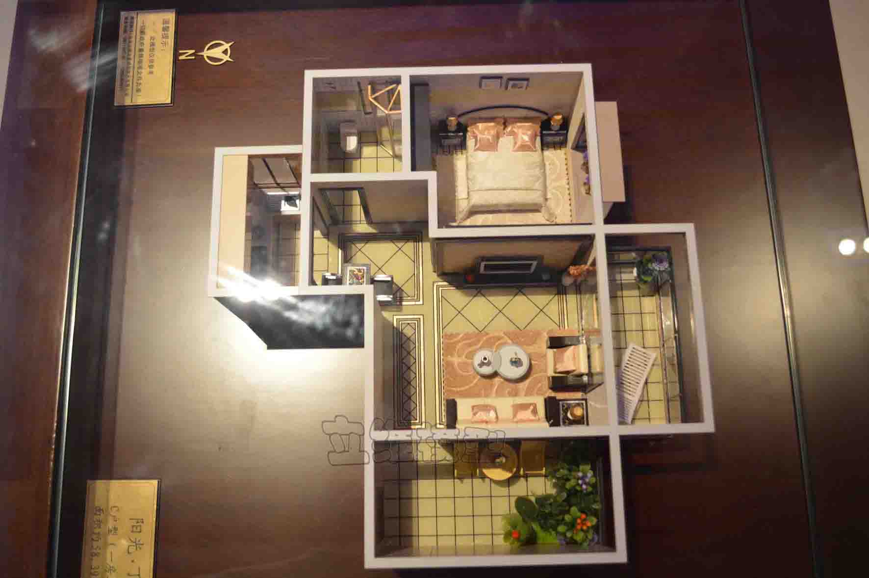 户型阳光-丁香园 1:25