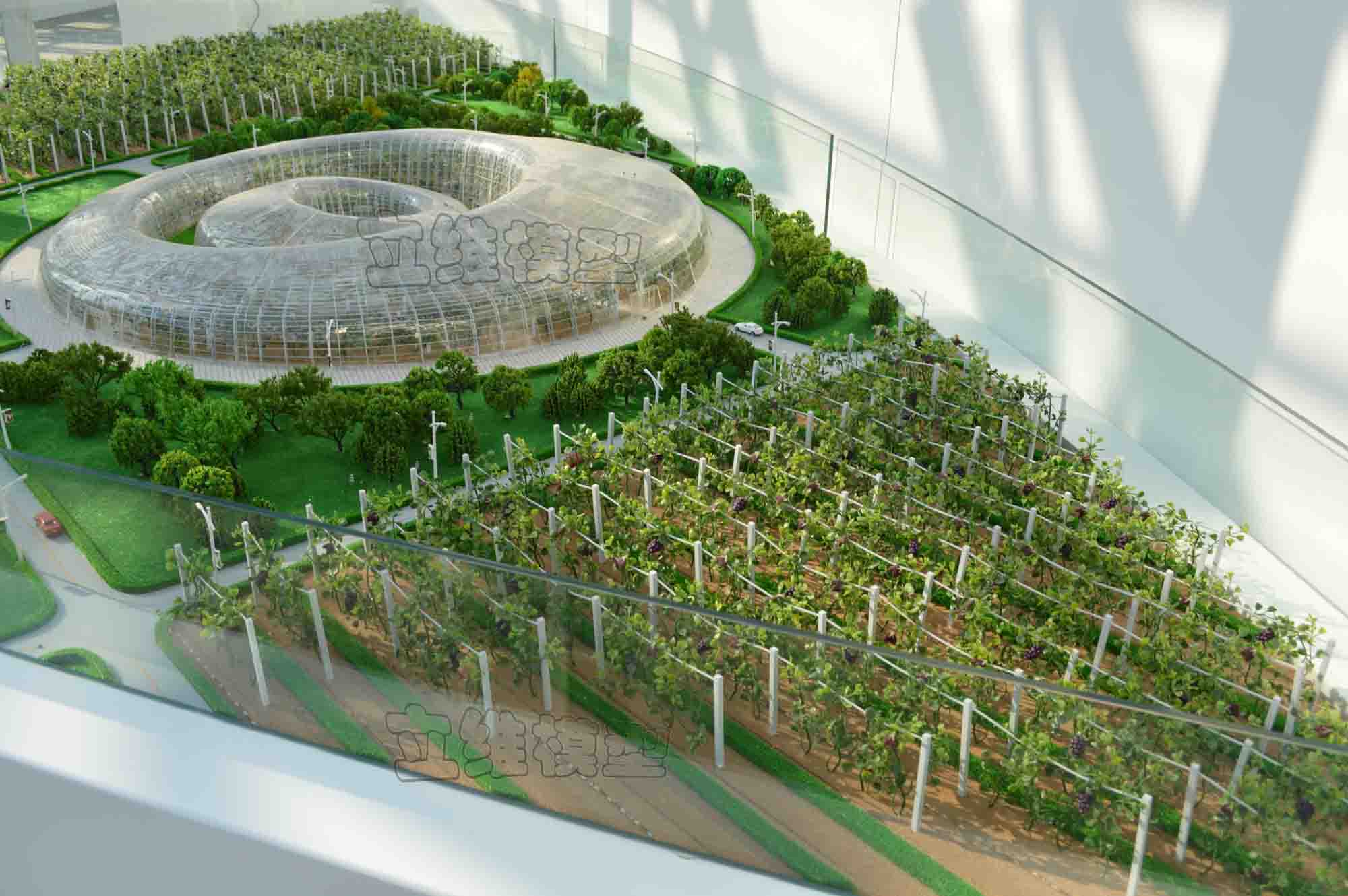 博览园温室-葡萄园